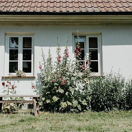Gutshaus Krimvitz 1 Apartment Putbus
